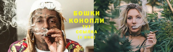 ALPHA PVP Богородицк