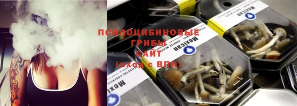 ALPHA PVP Богородицк