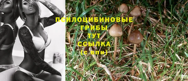 кокаин VHQ Богданович